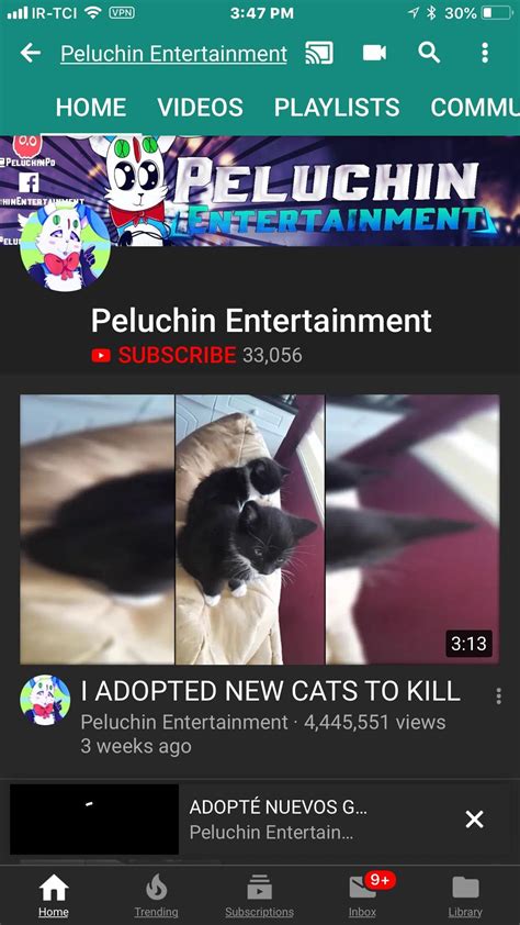 peluchin entertainment kills cat video|Peluchin Entertainment Videos : Peluchin Entertainment